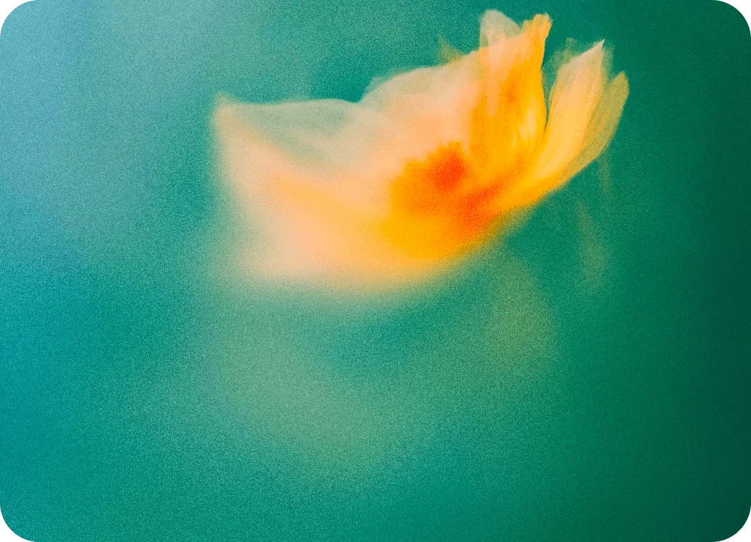 Find automation opportunities in your workflow